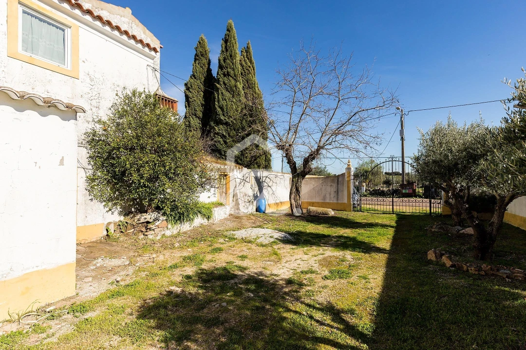 Quinta T3 para Venda em São Bras e São Lourenço Foto 73