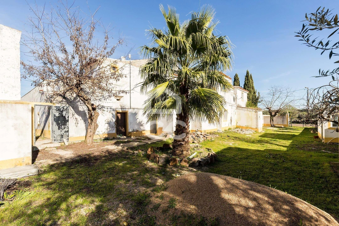 Quinta T3 para Venda em São Bras e São Lourenço Foto 62