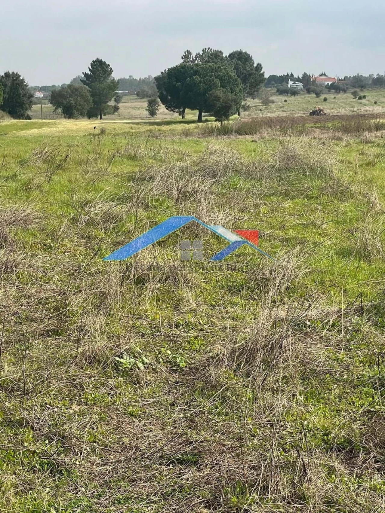 Terreno para Venda em Branca Foto 5