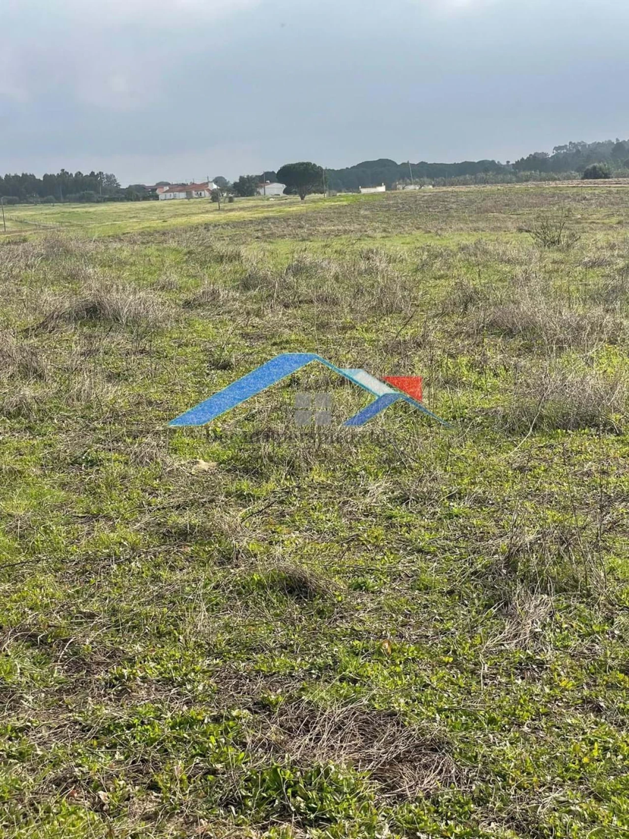 Terreno para Venda em Branca Foto 4
