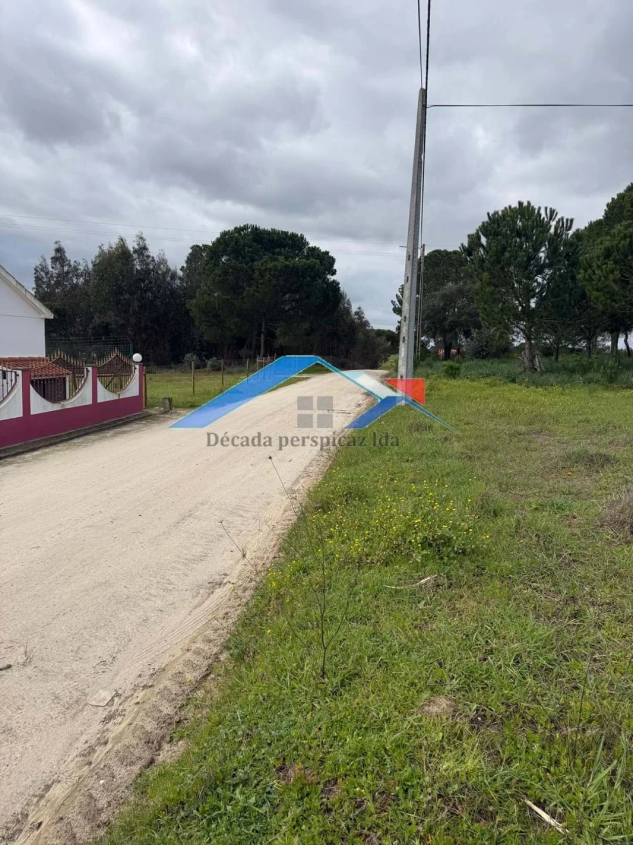 Terreno para Venda em Branca Foto 7