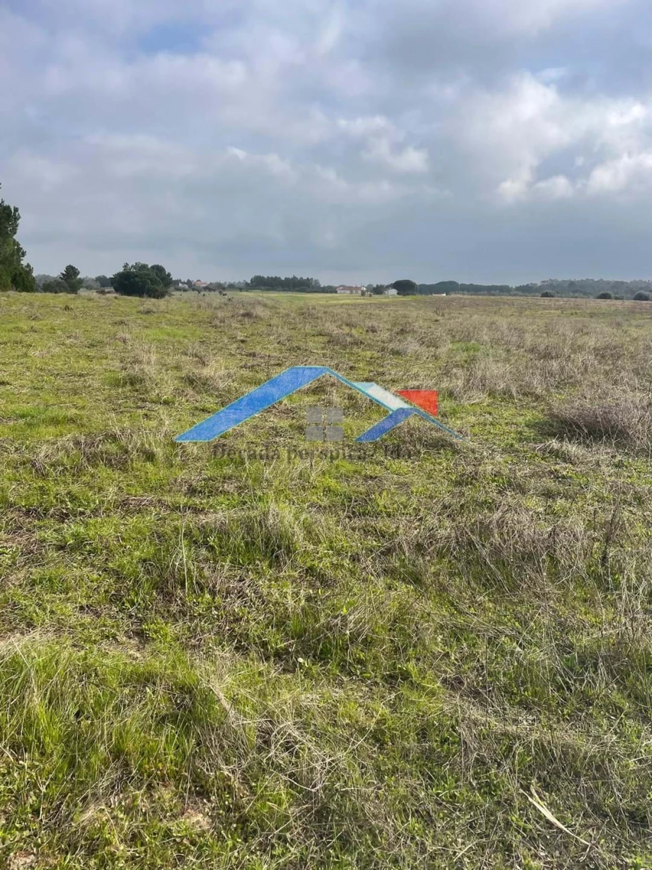 Terreno para Venda em Branca Foto 3