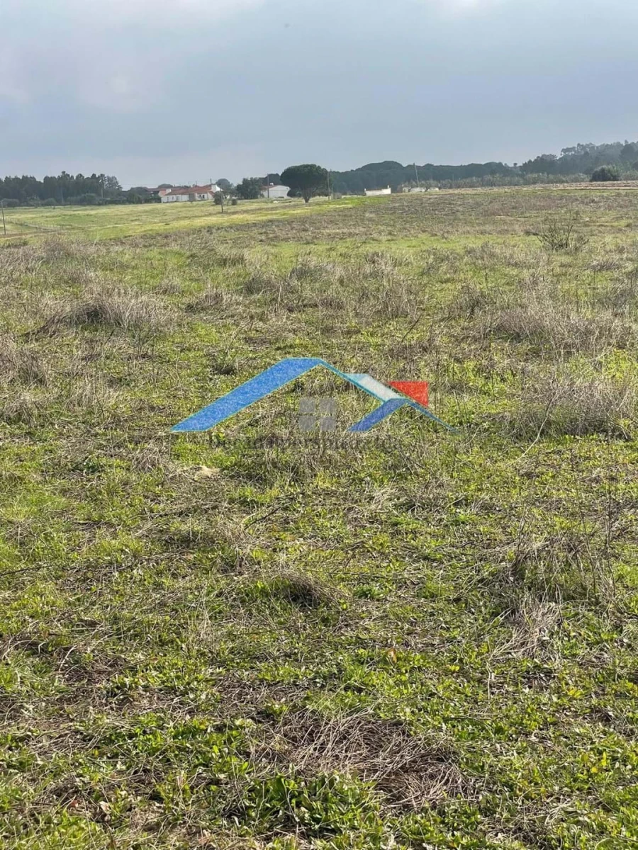 Terreno para Venda em Branca Foto 4