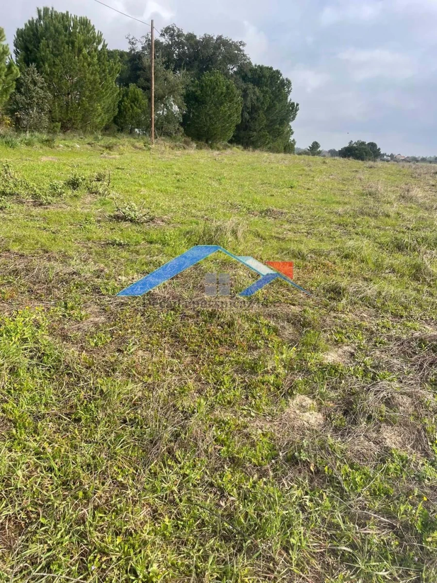 Terreno para Venda em Branca Foto 2
