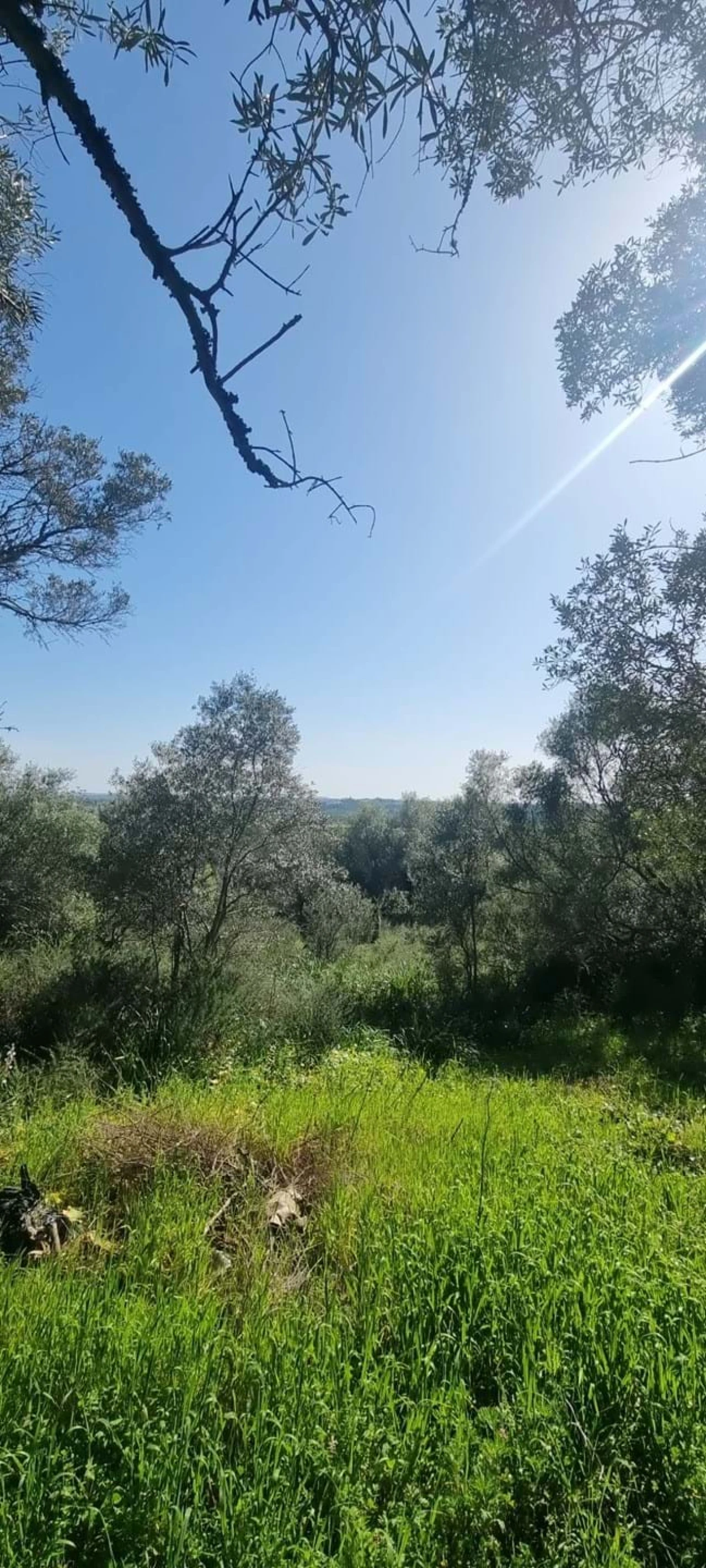 Moradia T2 para Venda em São Bartolomeu de Messines Foto 7