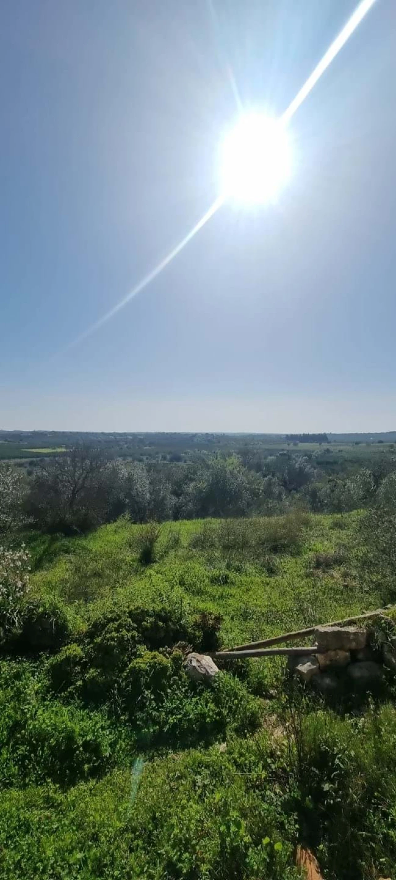 Moradia T2 para Venda em São Bartolomeu de Messines Foto 3