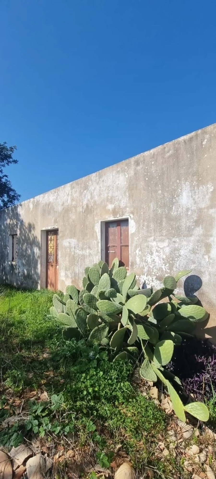 Moradia T2 para Venda em São Bartolomeu de Messines Foto 2