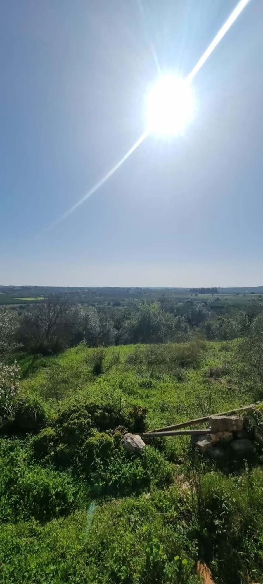Moradia T2 para Venda em São Bartolomeu de Messines Foto 3
