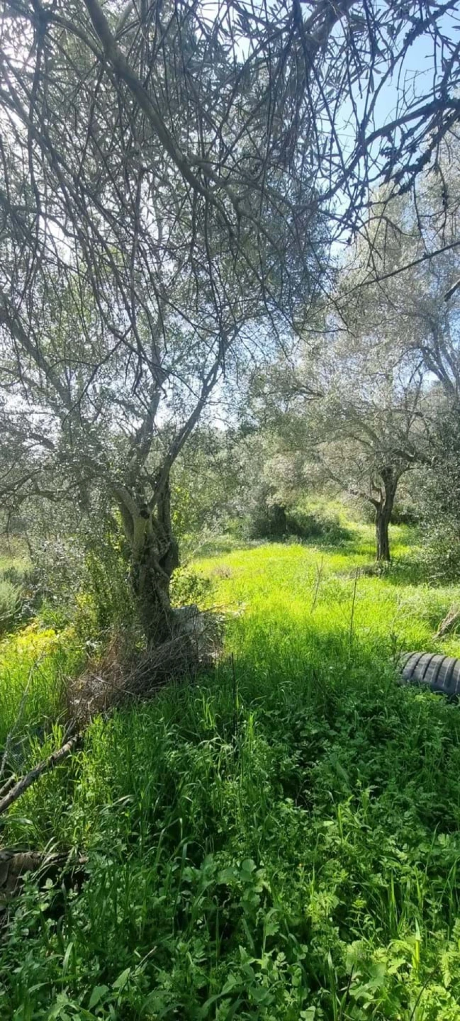 Moradia T2 para Venda em São Bartolomeu de Messines Foto 5