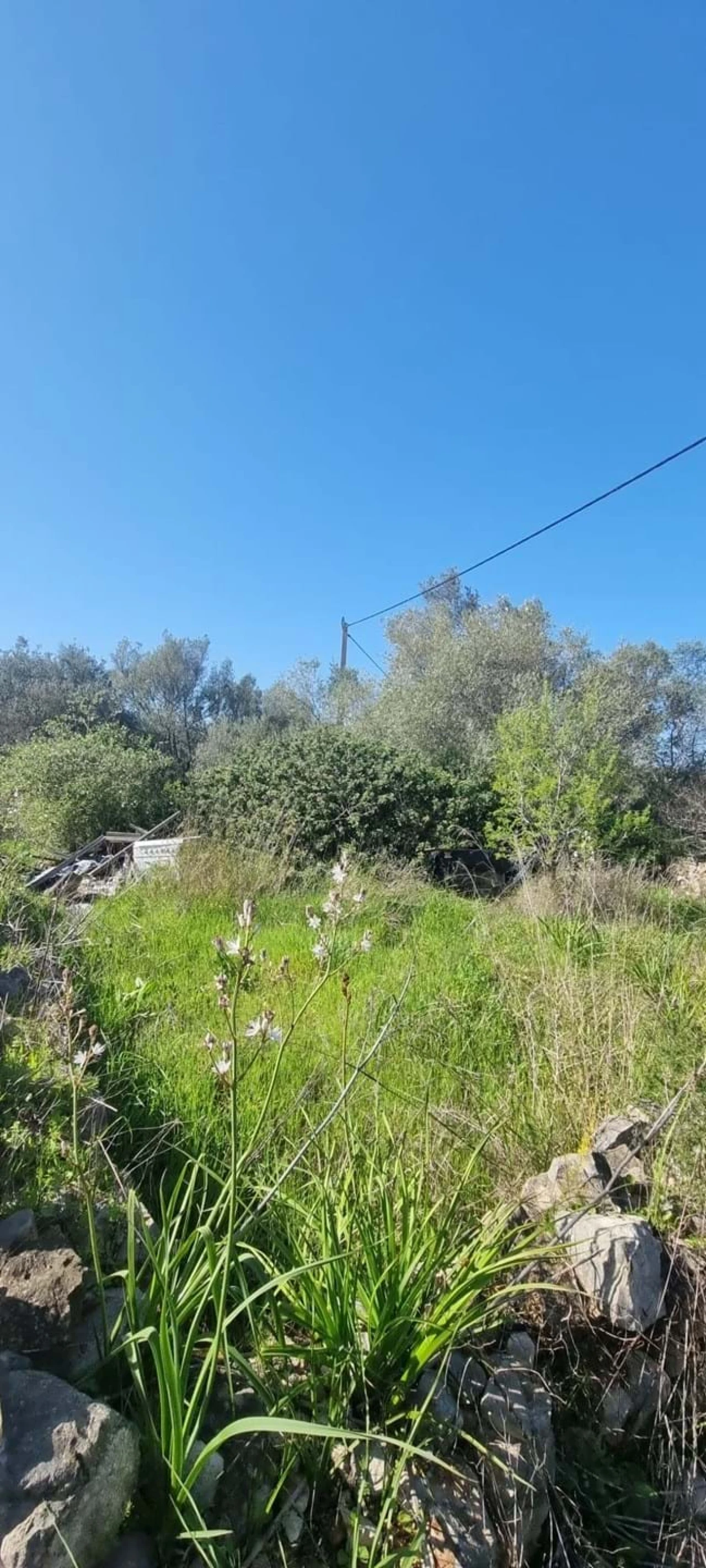 Moradia T2 para Venda em São Bartolomeu de Messines Foto 6