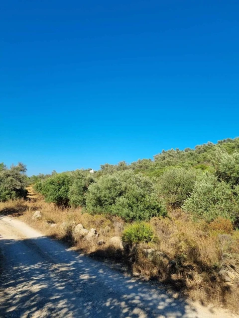 Terreno para Venda em Silves