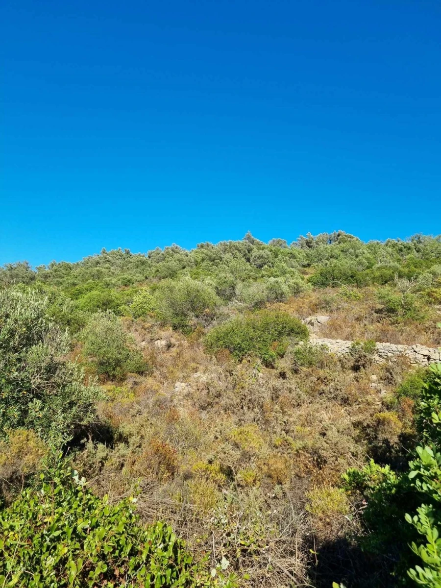 Terreno para Venda em Silves Foto 2