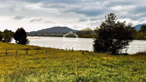 Apartamento T3 para Venda em Santa Maria Maior e Monserrate e Meadela