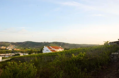 Terreno para Venda em Santa Maria, São Pedro e Matacães
