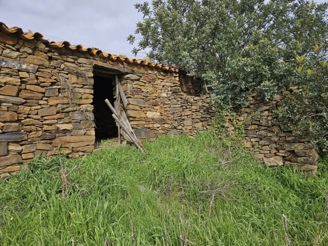 Terreno para Venda em Tavira (Santa Maria e Santiago) Foto 5