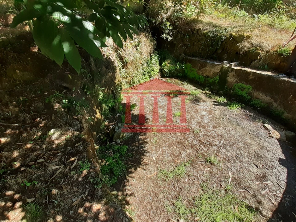 Terreno Agricola ou Rústico para Venda em Panque Foto 5