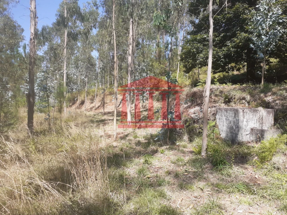 Terreno Agricola ou Rústico para Venda em Panque Foto 2