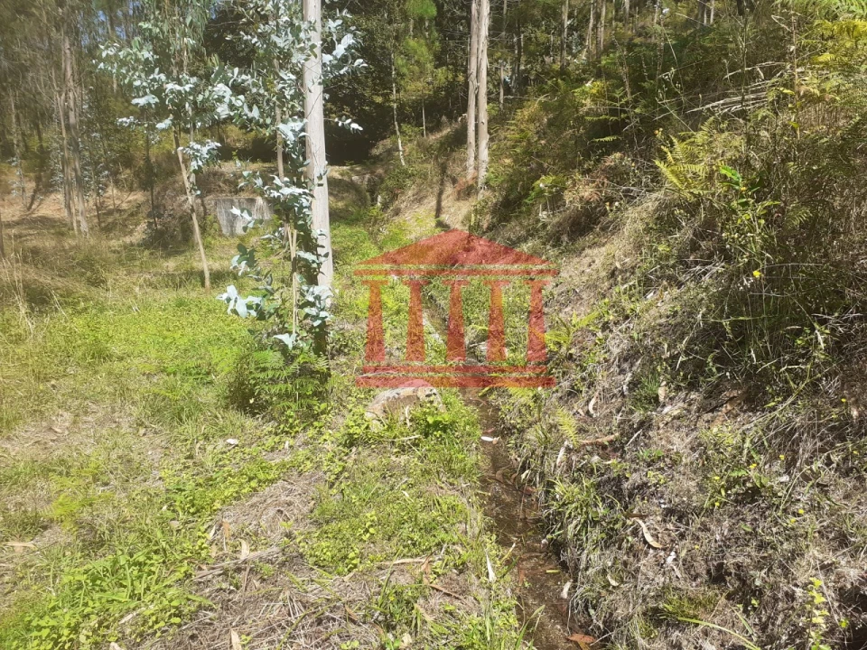 Terreno Agricola ou Rústico para Venda em Panque Foto 8