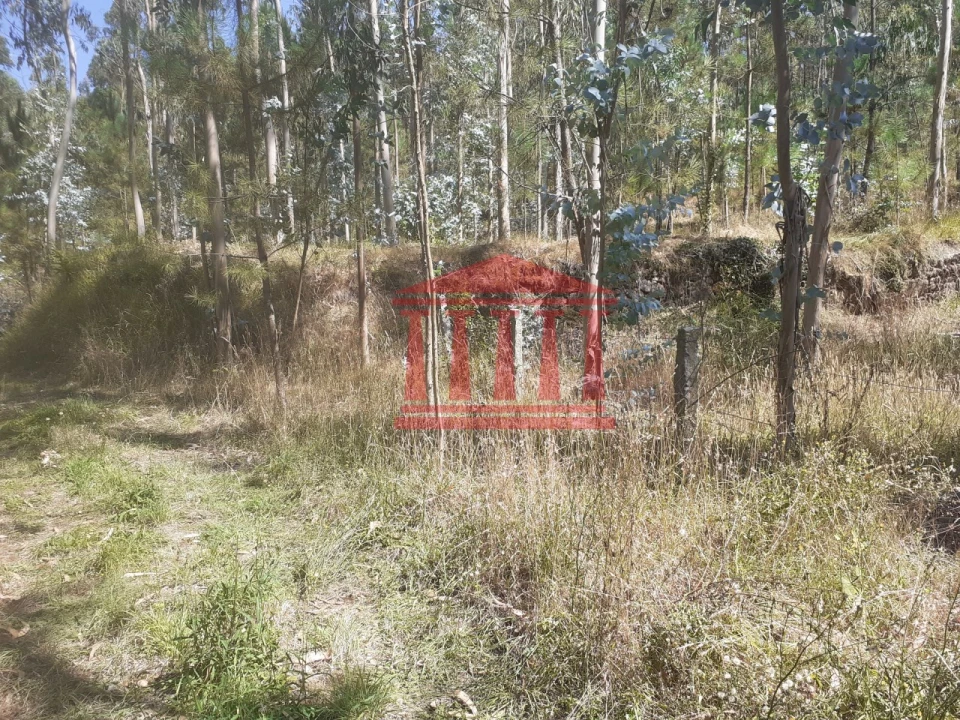 Terreno Agricola ou Rústico para Venda em Panque Foto 4