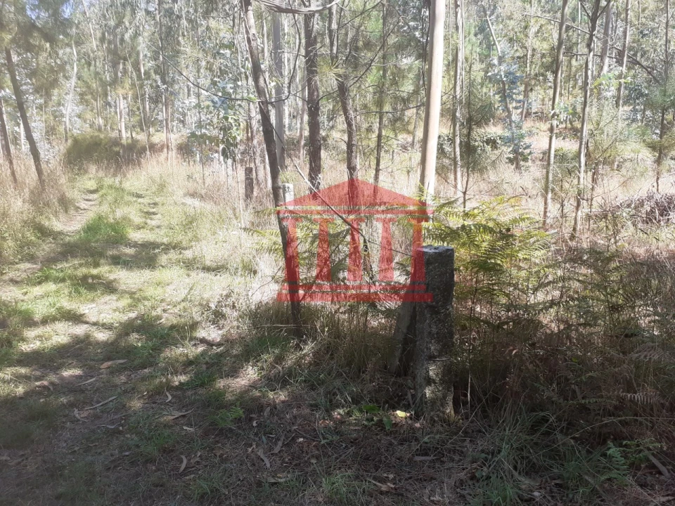 Terreno Agricola ou Rústico para Venda em Panque Foto 12