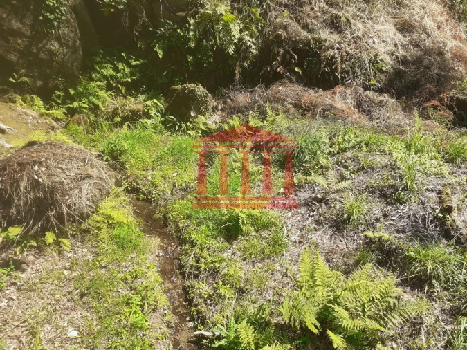 Terreno Agricola ou Rústico para Venda em Panque Foto 10