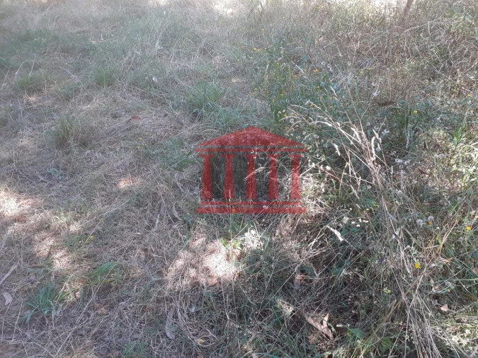 Terreno Agricola ou Rústico para Venda em Panque Foto 14