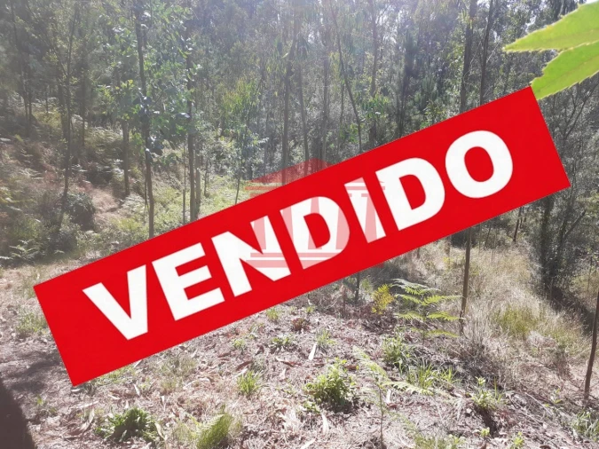 Terreno Agricola ou Rústico para Venda em Panque