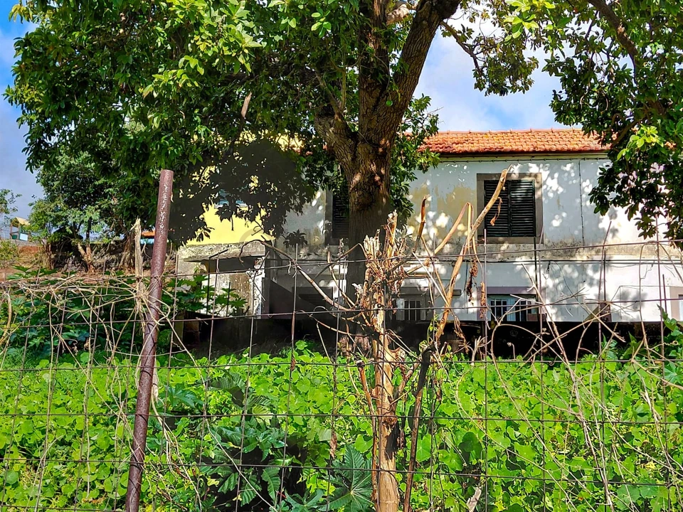 Moradia T2 para Venda em Santo Antonio Foto 1