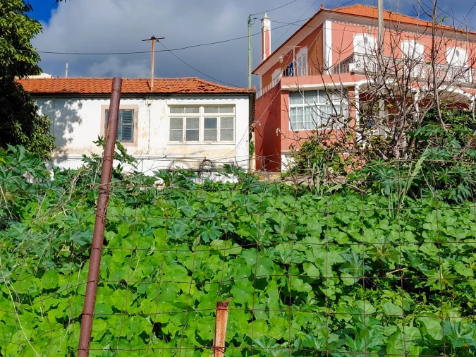 Moradia T2 para Venda em Santo Antonio