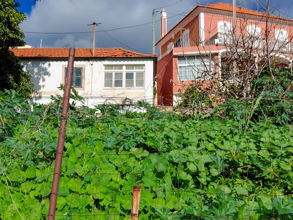 Moradia T2 para Venda em Santo Antonio Foto 1