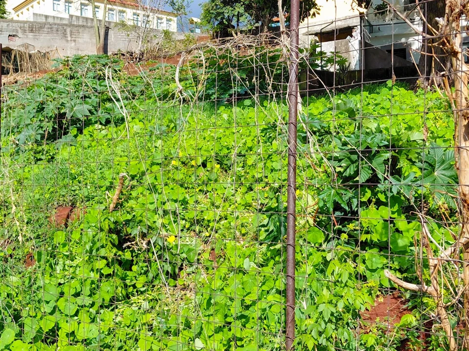 Moradia T2 para Venda em Santo Antonio Foto 12