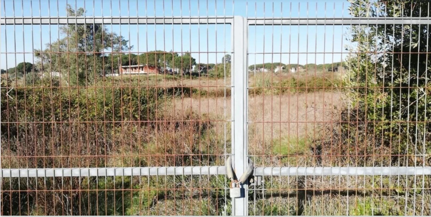 Terreno Agricola ou Rústico para Venda em Santa Maria e São Miguel, São Martinho, São Pedro Penaferrim Foto 10