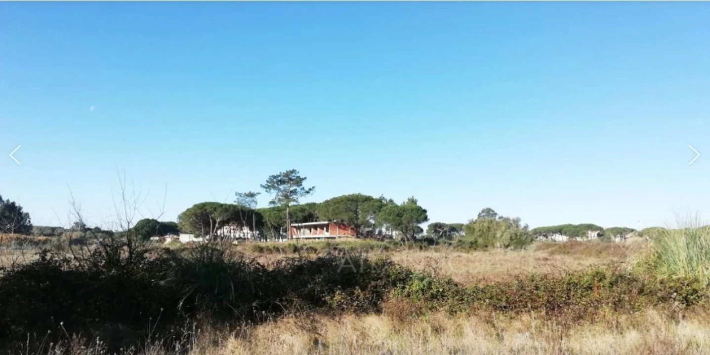 Terreno Agricola ou Rústico para Venda em Santa Maria e São Miguel, São Martinho, São Pedro Penaferrim Foto 2