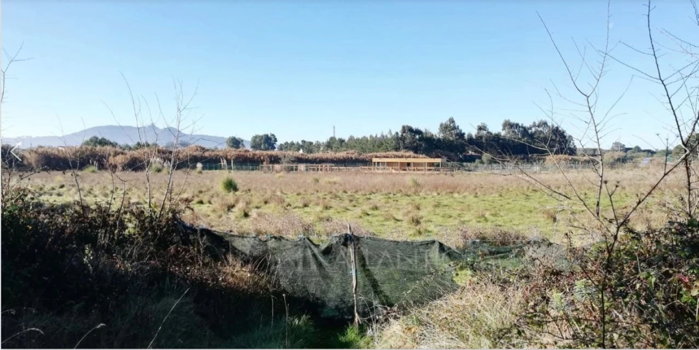 Terreno Agricola ou Rústico para Venda em Santa Maria e São Miguel, São Martinho, São Pedro Penaferrim Foto 4