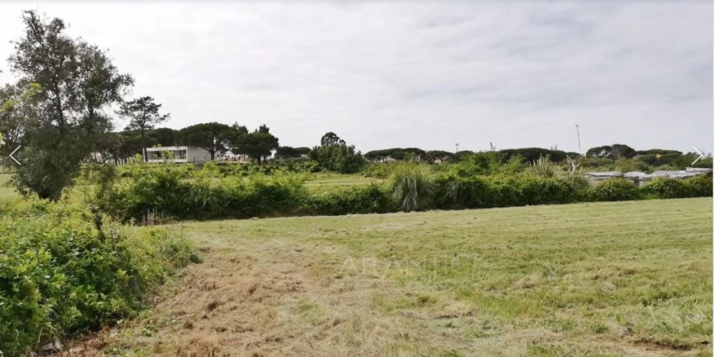 Terreno Agricola ou Rústico para Venda em Santa Maria e São Miguel, São Martinho, São Pedro Penaferrim Foto 7