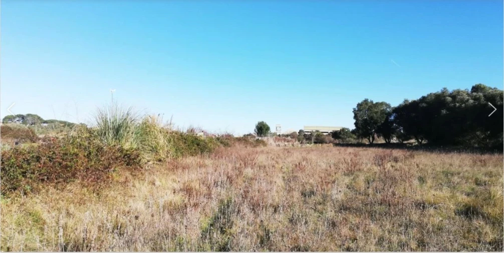 Terreno Agricola ou Rústico para Venda em Santa Maria e São Miguel, São Martinho, São Pedro Penaferrim