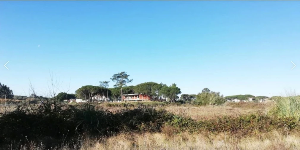Terreno Agricola ou Rústico para Venda em Santa Maria e São Miguel, São Martinho, São Pedro Penaferrim Foto 2