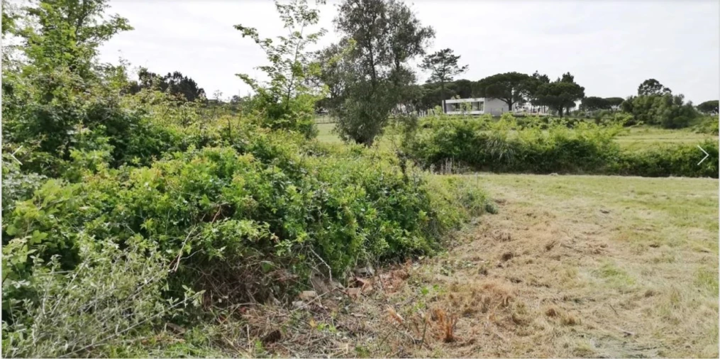 Terreno Agricola ou Rústico para Venda em Santa Maria e São Miguel, São Martinho, São Pedro Penaferrim Foto 5