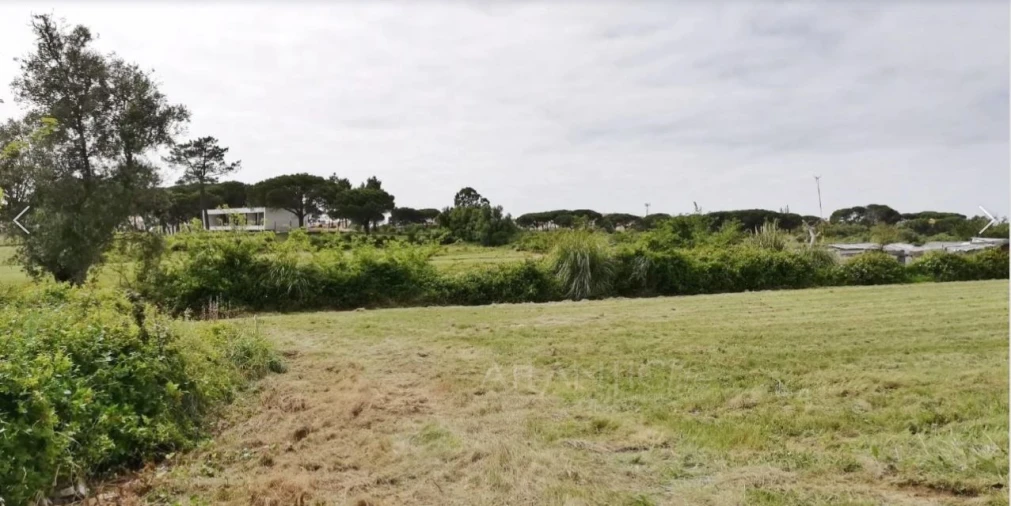 Terreno Agricola ou Rústico para Venda em Santa Maria e São Miguel, São Martinho, São Pedro Penaferrim Foto 7