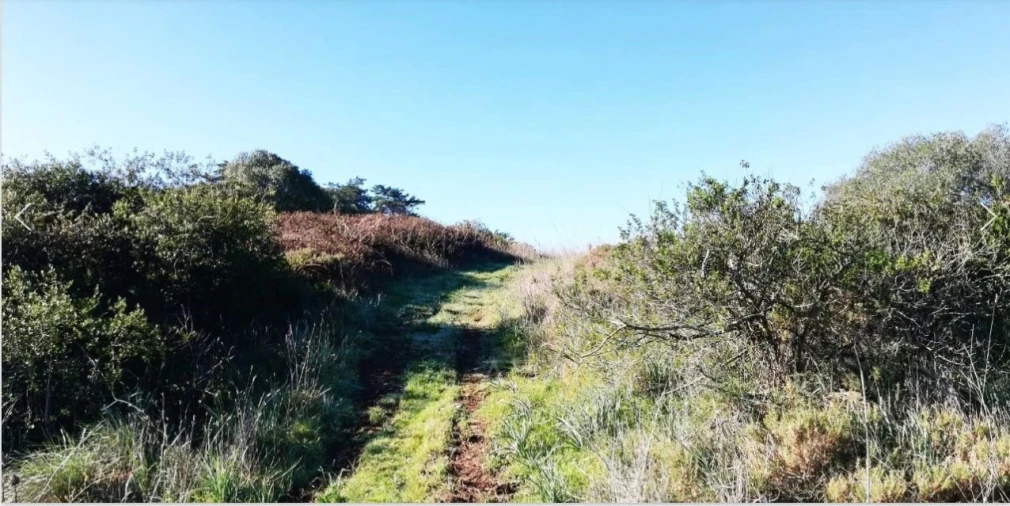Terreno Agricola ou Rústico para Venda em Santa Maria e São Miguel, São Martinho, São Pedro Penaferrim Foto 9