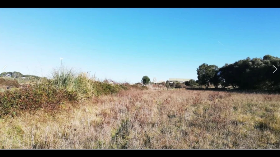 Terreno Agricola ou Rústico para Venda em Santa Maria e São Miguel, São Martinho, São Pedro Penaferrim