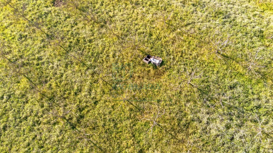 Terreno para Venda em Cela Foto 7