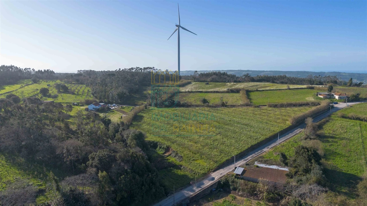 Terreno para Venda em Cela Foto 11