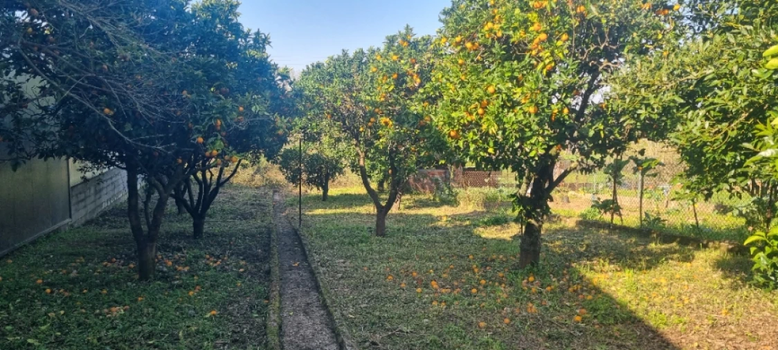 Moradia T4 para Venda em São Martinho do Bispo e Ribeira de Frades Foto 16