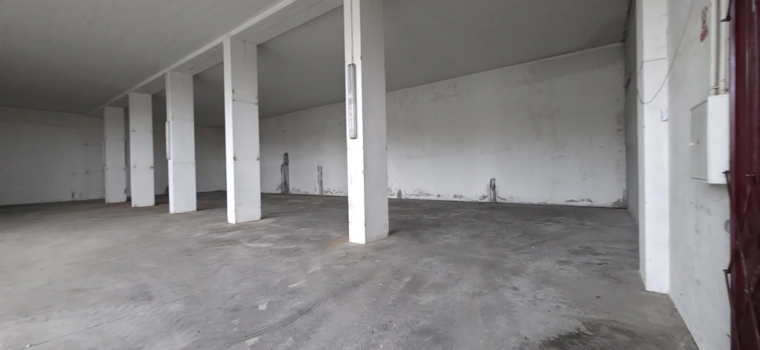 Armazém para Arrendamento em Eiras e São Paulo de Frades Foto 4