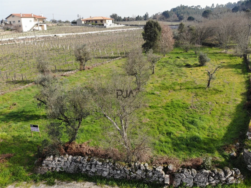 Terreno para Venda em Fornos de Maceira Dão Foto 4