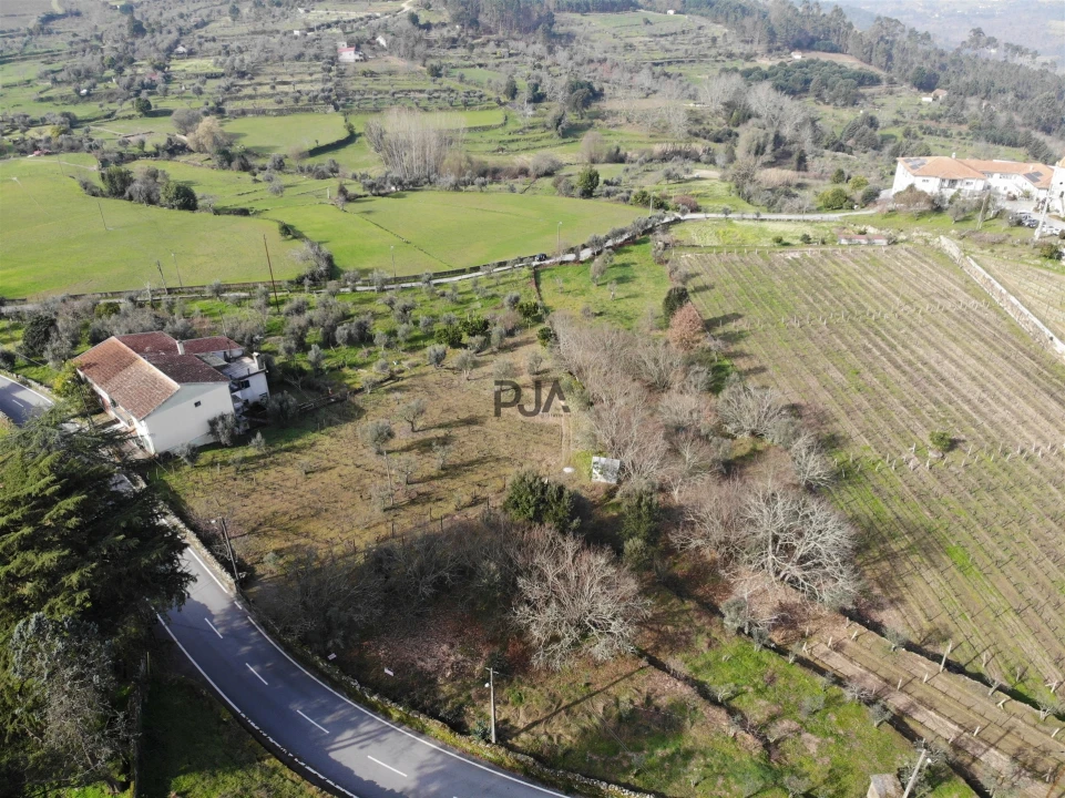 Terreno para Venda em Fornos de Maceira Dão Foto 6