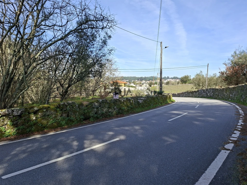 Terreno para Venda em Fornos de Maceira Dão Foto 8
