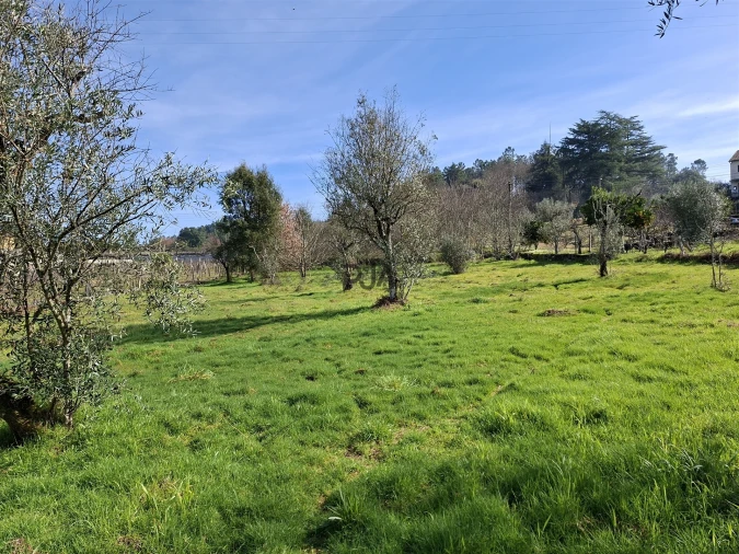 Terreno para Venda em Fornos de Maceira Dão Foto 2