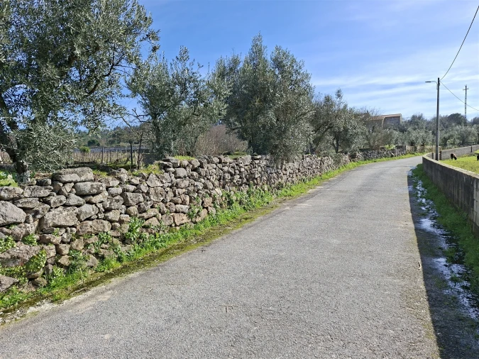Terreno para Venda em Fornos de Maceira Dão Foto 5
